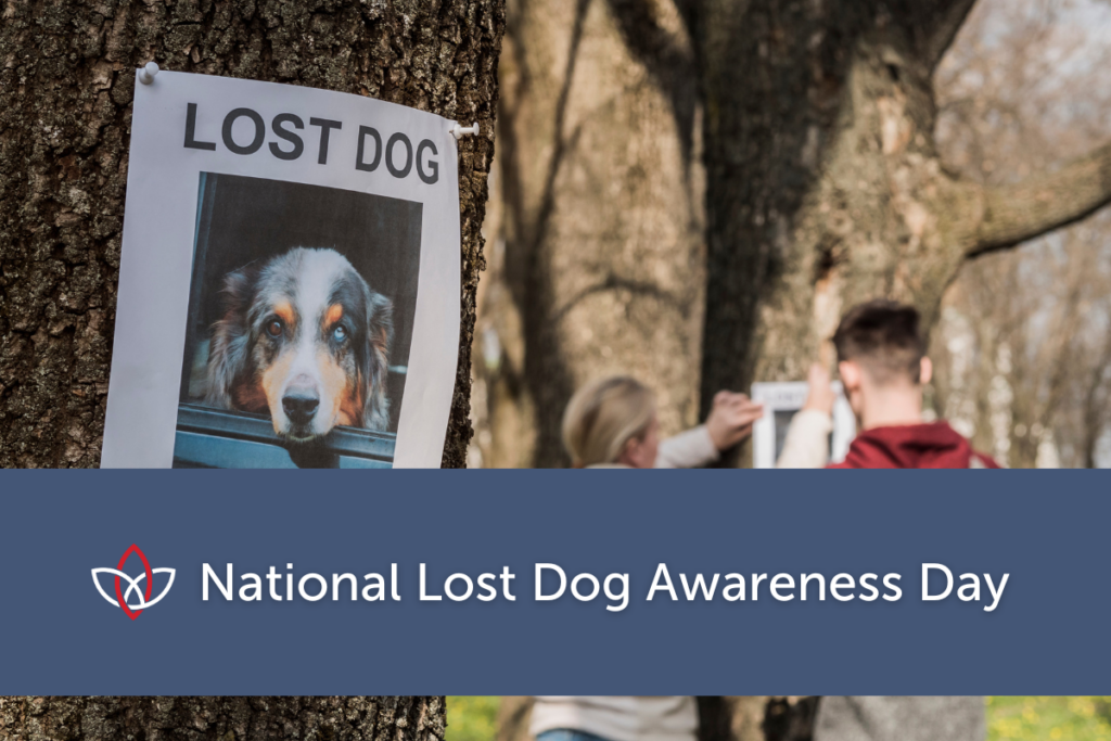 decorative image that has a lost dog poster on a tree