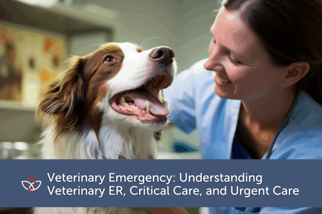 Veterinarian looking at a happy dog
